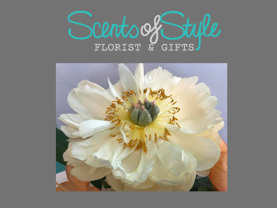 Scents of Style Florist & Gifts