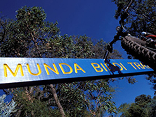 Munda Biddi Trail 